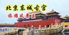 操大姑娘骚逼中国北京-东城古宫旅游风景区