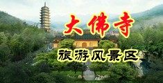 用大鸡巴操骚逼免费视频中国浙江-新昌大佛寺旅游风景区